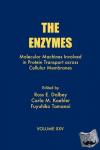  - The Enzymes - Molecular Machines Involved in Protein Transport across Cellular Membranes