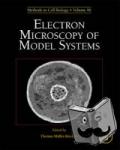 Thomas Mueller-Reichert - Electron Microscopy of Model Systems - Methods in Cell Biology. Volume 96