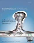  - From Molecules to Networks