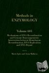  - Mechanisms of DNA Recombination and Genome Rearrangements: Intersection Between Homologous Recombination, DNA Replication and DNA Repair - Intersection Between Homologous Recombination, DNA Replication and DNA Repair