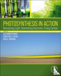  - Photosynthesis in Action