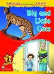 Degnan-Veness, Coleen - Macmillan Children's Readers Big and Little Cats Level 3