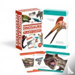 DK - Our World in Pictures Dinosaurs and Other Prehistoric Creatures Flash Cards
