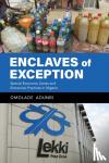 Adunbi, Omolade - Enclaves of Exception