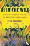 Dauvergne, Peter - AI in the Wild - Sustainability in the Age of Artificial Intelligence