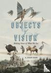 Saab, A. Joan (Susan B. Anthony Professor, University of Rochester) - Objects of Vision - Making Sense of What We See