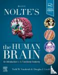 Todd, Ph.D. Vanderah, Gould - Nolte's The Human Brain - An Introduction to its Functional Anatomy