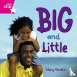  - Rigby Star Independent Reception Pink Non Fiction Big and Little Single
