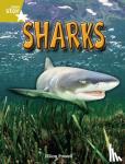 Powell, Jillian - Rigby Star Independent Year 2 Gold Non Fiction Sharks Single