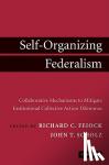  - Self-Organizing Federalism - Collaborative Mechanisms to Mitigate Institutional Collective Action Dilemmas