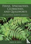 Sessa, Emily - Ferns, Spikemosses, Clubmosses, and Quillworts of Eastern North America