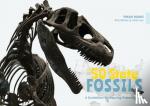 Wang, Yinan - The 50 State Fossils