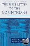 Ciampa, Roy E., Rosner, Brian S. - First Letter to the Corinthians