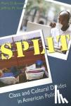 Brewer, Mark, Stonecash, Jeffrey M. - Split - Class and Cultural Divides in American Politics