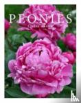 Austin, Claire - Peonies