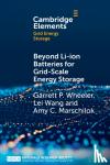 Wheeler, Garrett P. (Brookhaven National Laboratory, New York), Wang, Lei (Brookhaven National Laboratory, New York), Marschilok, Amy C. - Beyond Li-ion Batteries for Grid-Scale Energy Storage