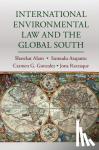  - International Environmental Law and the Global South