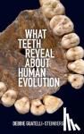 Guatelli-Steinberg, Debbie (Ohio State University) - What Teeth Reveal about Human Evolution
