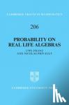 Franz, Uwe (Universite de Franche-Comte), Privault, Nicolas (Nanyang Technological University, Singapore) - Probability on Real Lie Algebras