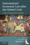  - International Economic Law after the Global Crisis - A Tale of Fragmented Disciplines