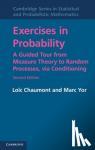 Chaumont, Loic (Universite d'Angers, France), Yor, Marc (Universite de Paris VI (Pierre et Marie Curie)) - Exercises in Probability - A Guided Tour from Measure Theory to Random Processes, via Conditioning