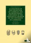 Salter, J. W., Sedgwick, Adam, Morris, John - A Catalogue of the Collection of Cambrian and Silurian Fossils Contained in the Geological Museum of the University of Cambridge
