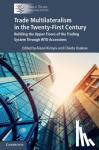 - Trade Multilateralism in the Twenty-First Century - Building the Upper Floors of the Trading System Through WTO Accessions