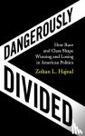 Hajnal, Zoltan L. (University of California, San Diego) - Dangerously Divided - How Race and Class Shape Winning and Losing in American Politics