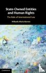Barnes, Mihaela Maria - State-Owned Entities and Human Rights
