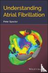 Peter Spector - Understanding Atrial Fibrillation - A conceptually Guided Approach
