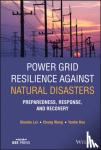 Lei, Shunbo, Wang, Chong, Hou, Yunhe - Power Grid Resilience against Natural Disasters