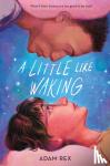 Rex, Adam - A Little Like Waking