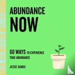 Sands, Jesse - Abundance Now