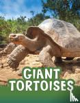 Jaycox, Jaclyn - Giant Tortoises
