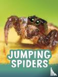 Jaycox, Jaclyn - Jumping Spiders