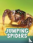 Jaycox, Jaclyn - Jumping Spiders