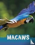 Jaycox, Jaclyn - Macaws
