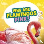 Dickmann, Nancy - WHY ARE FLAMINGOS PINK?