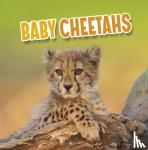 Rustad, Martha E. H. - Baby Cheetahs