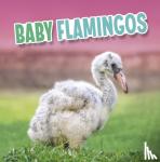 Rustad, Martha E. H. - Baby Flamingos