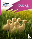 Steel, Abigail - Reading Planet: Rocket Phonics - Target Practice - Ducks - Pink B