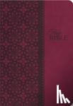 Thomas Nelson - KJV Study Bible, Large Print, Leathersoft, Red/Pink, Red Letter