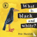 Horacek, Petr - What is Black and White?