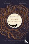 Carter, Brian - A Black Fox Running