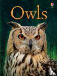 Bone, Emily - Owls