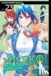 Komi, Naoshi - Nisekoi: False Love, Vol. 23 - One Day