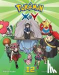 Kusaka, Hidenori - Pokemon X*Y, Vol. 12