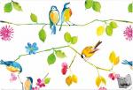 Peter Pauper Press, Inc - Note Card Watercolor Birds