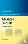 Callahan, James J., Jr. - Advanced Calculus - A Geometric View