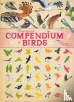 Virginie Aladjidi, Emmanuelle Tchoukriel - Illustrated Compendium of Birds